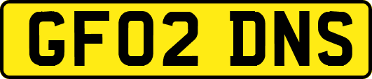 GF02DNS