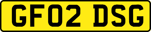 GF02DSG