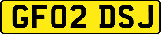 GF02DSJ