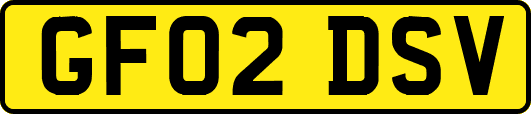 GF02DSV