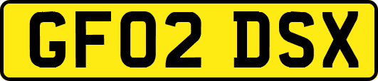 GF02DSX