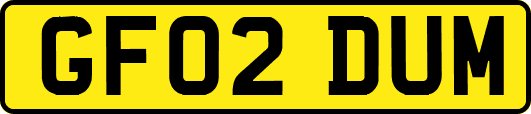 GF02DUM