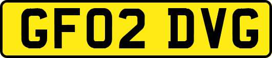 GF02DVG