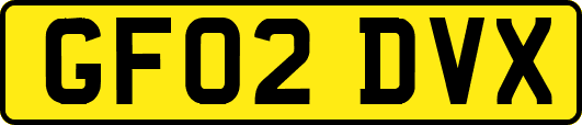 GF02DVX
