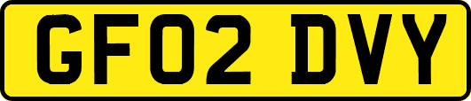 GF02DVY
