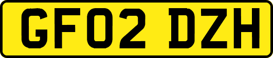 GF02DZH