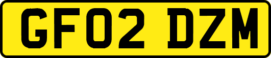 GF02DZM
