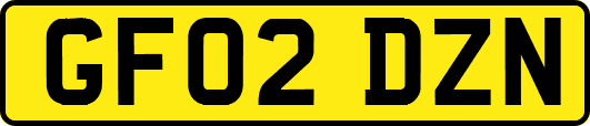 GF02DZN