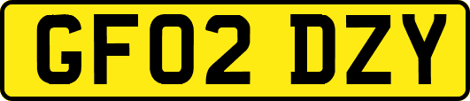 GF02DZY