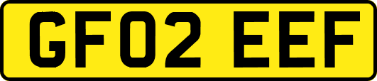 GF02EEF