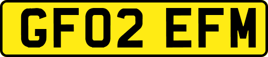 GF02EFM