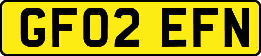 GF02EFN