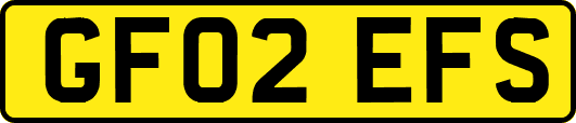 GF02EFS