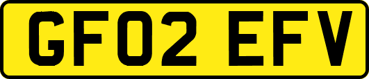 GF02EFV