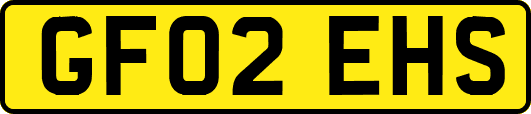 GF02EHS