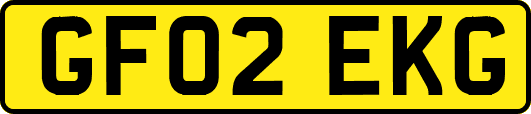 GF02EKG