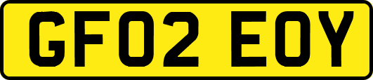 GF02EOY