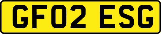 GF02ESG