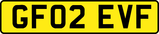 GF02EVF