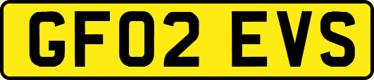 GF02EVS