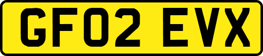 GF02EVX