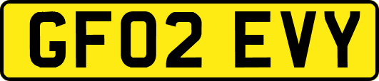 GF02EVY
