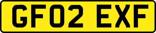 GF02EXF