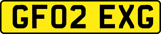 GF02EXG