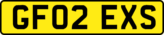 GF02EXS