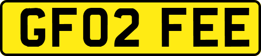 GF02FEE
