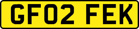 GF02FEK