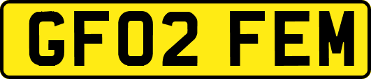 GF02FEM