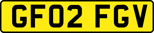 GF02FGV
