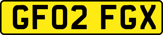 GF02FGX
