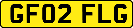GF02FLG