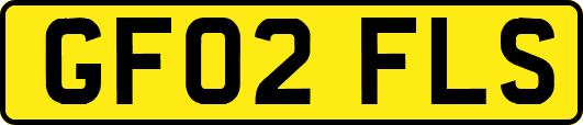 GF02FLS
