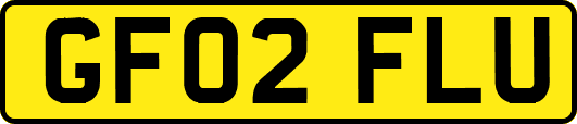 GF02FLU