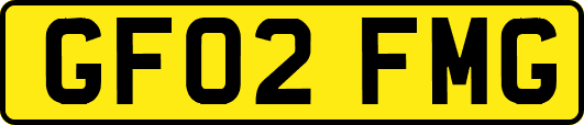 GF02FMG