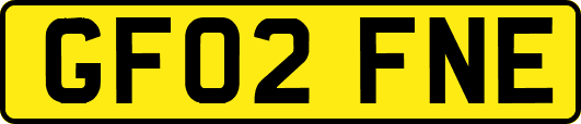 GF02FNE