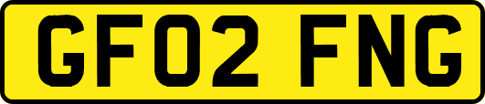 GF02FNG