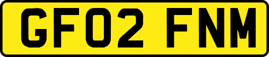 GF02FNM