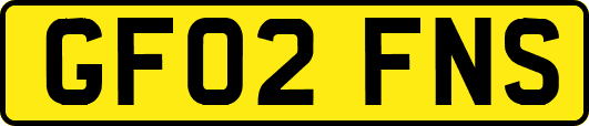 GF02FNS