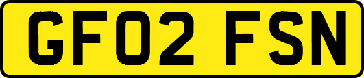 GF02FSN