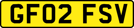 GF02FSV