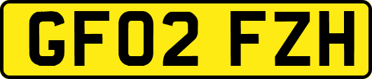 GF02FZH