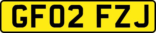 GF02FZJ