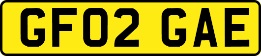 GF02GAE