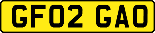 GF02GAO