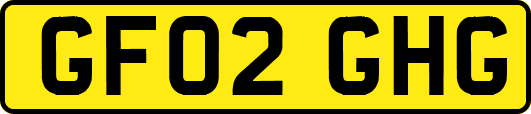 GF02GHG
