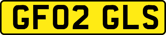 GF02GLS